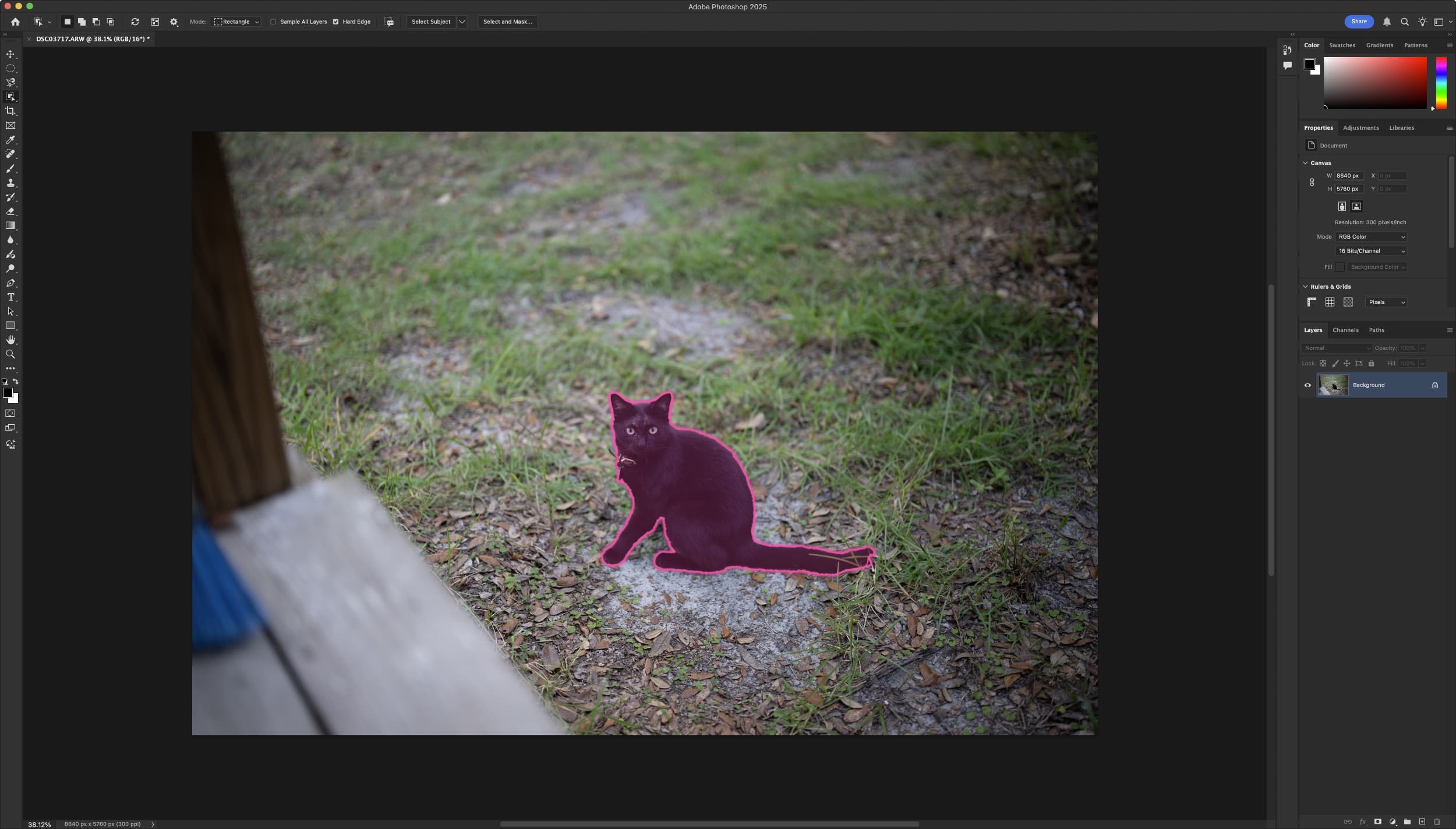 Adobe Photoshop Object Selection Tool.