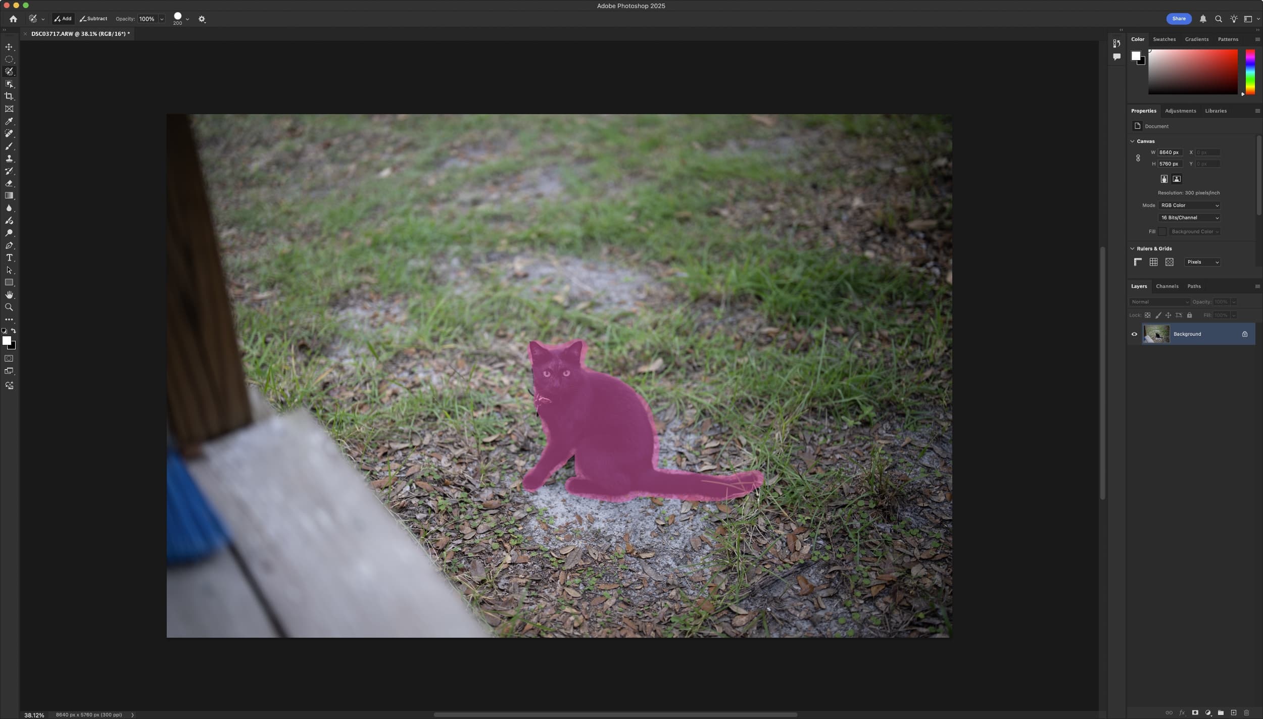 Adobe Photoshop Selection Brush Mode.