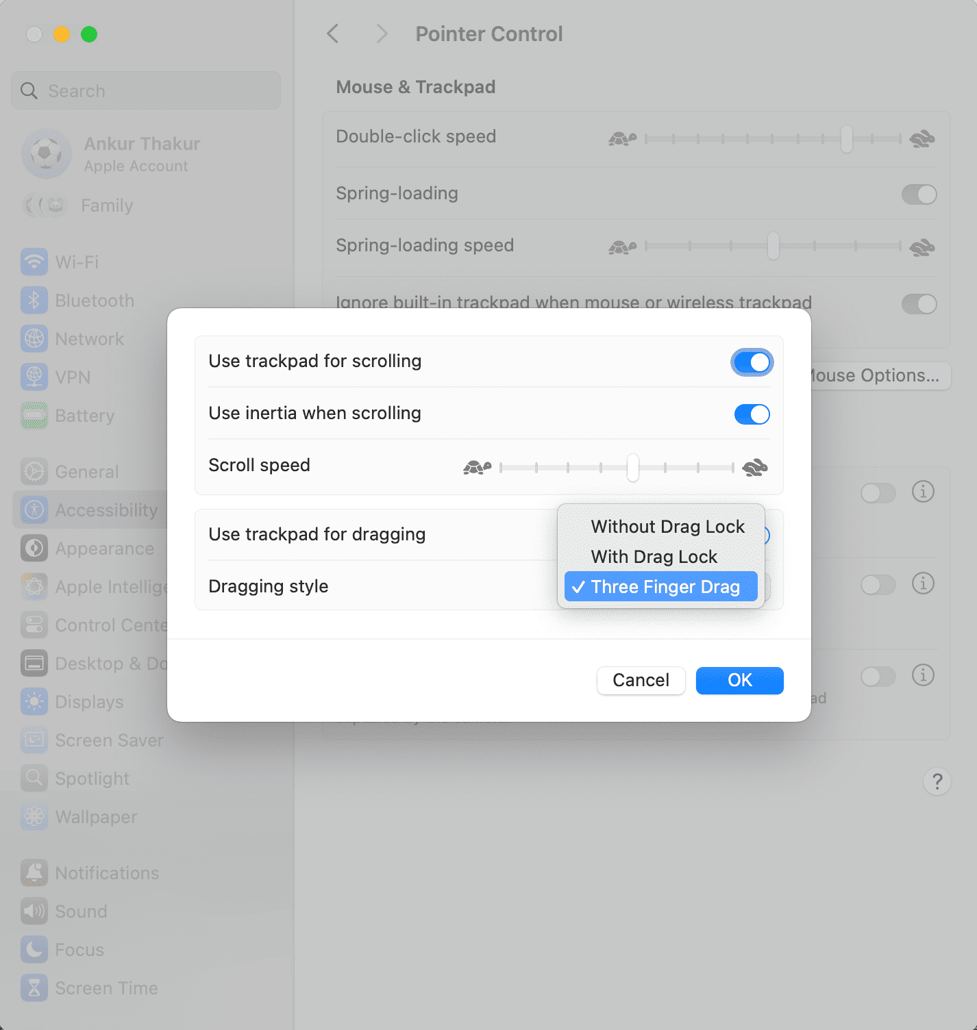 Dragging style settings in macOS accessibility settings