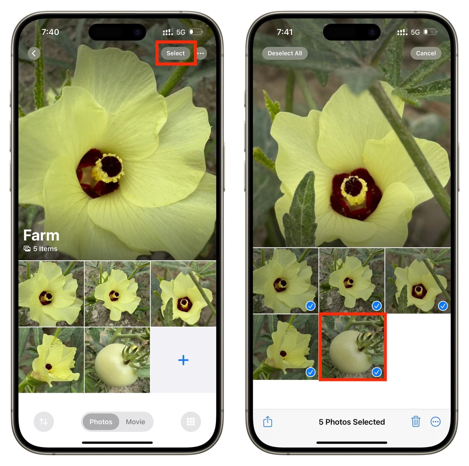 Selecting multiple photos on iPhone